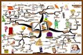 An Interpretation of Shakespeare's Comic Tools