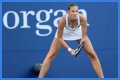 
How Much Money Does Karolína Plíšková Make? Latest Income Salary
