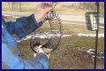How To Put A Slinky On A Bird Feeder Pole?