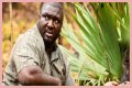 Nonso Anozie - Zoo Cast Member