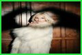 Q&A Session: Pixie Lott - CelebMix