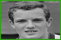 Tom Okker (Tennis Player) - Age, Birthday, Bio, Facts, Family, Net Worth, Height & More